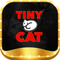 Tinycatcomco