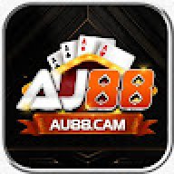 au8cam
