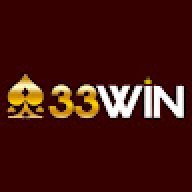 33wincamera
